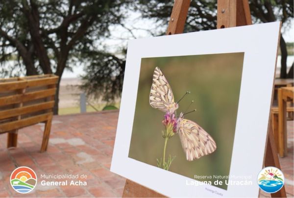 Comenzó la muestra fotográfica en Laguna de Utracán